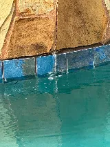 Southwest Pools & Spas photo 8