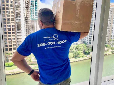 Pro Movers Miami in Miami
