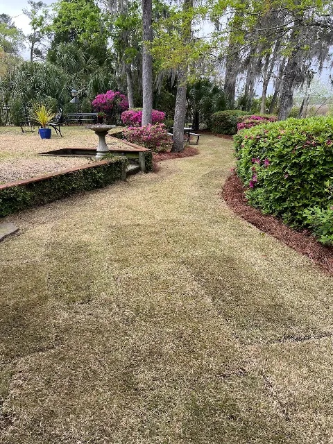 Bells Landscaping Charleston in Charleston