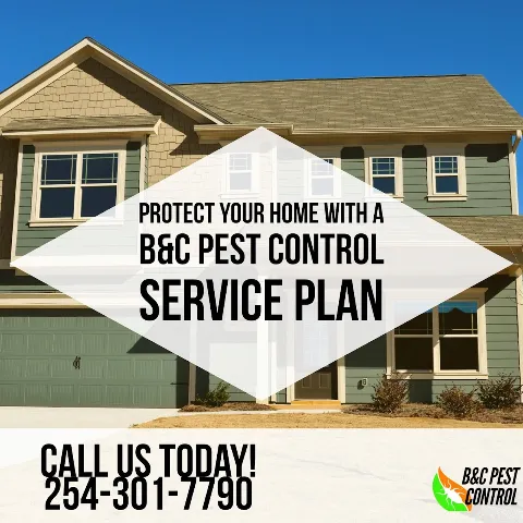 B and C Pest Control photo 1
