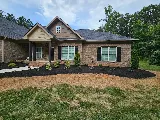 Lawn Firm photo 7