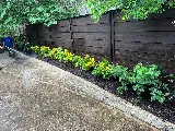 Vargas Landscape & Sprinklers photo 7