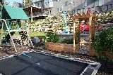 Worx Landscaping & Snow Removal photo 8