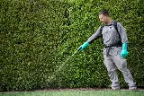 Allied Pest Control photo 5