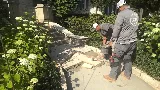Galati & Sons Tuckpointing Inc photo 5