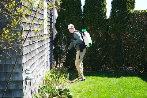 Debug Pest Control - SE Massachusetts in New Bedford