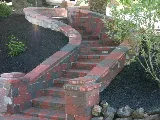 A&N Gardening & Landscaping photo 6