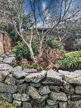ACL Landscaping LTD photo 6