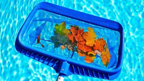 Swim Pools Inc photo 1