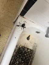 Roto-Rooter Plumbing & Water Cleanup photo 5