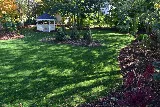 Murray's Landscape Services photo 8