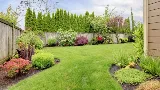 Leprechaun Landscaping Of Coral Springs photo 6
