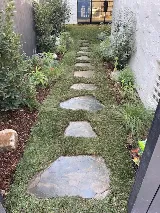 Green Splendor Landscaping photo 6