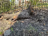 Better Termite & Pest Control photo 5