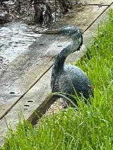 KNOCKOUT Pest Control Jacksonville photo 6