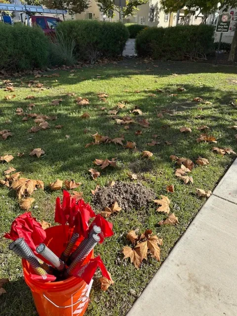 We Got Ya Pest Control ! in Chula Vista