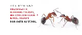 Advance Pest Control