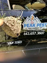 Peak Pest Management photo 3