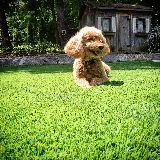 Rymar Landscaping photo 2