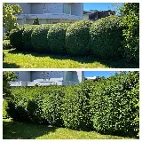 White Rock Lawn and Yard Care Ltd.