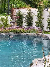Crescenta Valley Pools photo 3