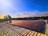 Tribe Solar and Electric
