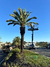 SouthWest Environments Landscape Services