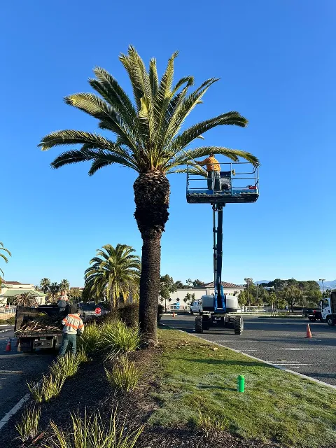 SouthWest Environments Landscape Services in Chula Vista