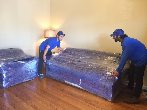 Marigold Movers in Columbia