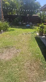 Dewey Pest & Termite Control photo 6