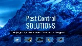 Alpine Pest Control LTD