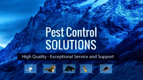 Alpine Pest Control LTD in Vancouver
