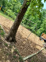 M. Escobar Landscaping photo 5