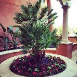 Four Seasons Landscape and Property Services photo 6