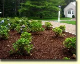CG&J Landscaping photo 6