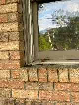 Urbanex Pest Control photo 7