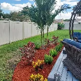 Tampa landscape solutions photo 4