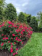 Potomac Lawn Professionals photo 8