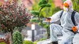 Wise Pest Control