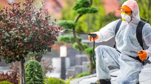 Wise Pest Control in Pasadena