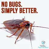 Total Pest Control Fresno photo 3