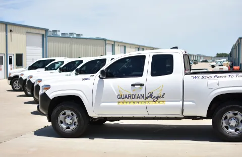 Guardian Angel Exterminating, Inc. photo 1