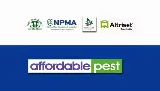 Affordable Pest photo 4