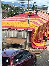 Aloha Termite & Pest Control photo 8