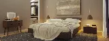 A1 Bed Bug Exterminator Syracuse
