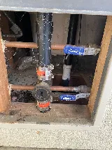 La Canada Pest, Inc. photo 7