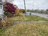Green Scholars Landscaping & Lawn Care photo 8
