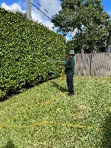 Active Pest Control, Inc. photo 4