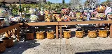 Earth Works Plant Nursery photo 6