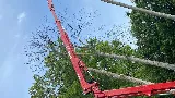 Tree And Yard Renovations